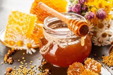Forecast of production of 140 thousand tons of honey in 1402