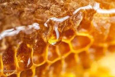 Properties of honey for beauty