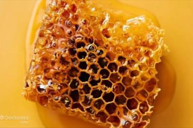 Production of seven thousand tons of honey in Kermanshah with 3852 apiaries